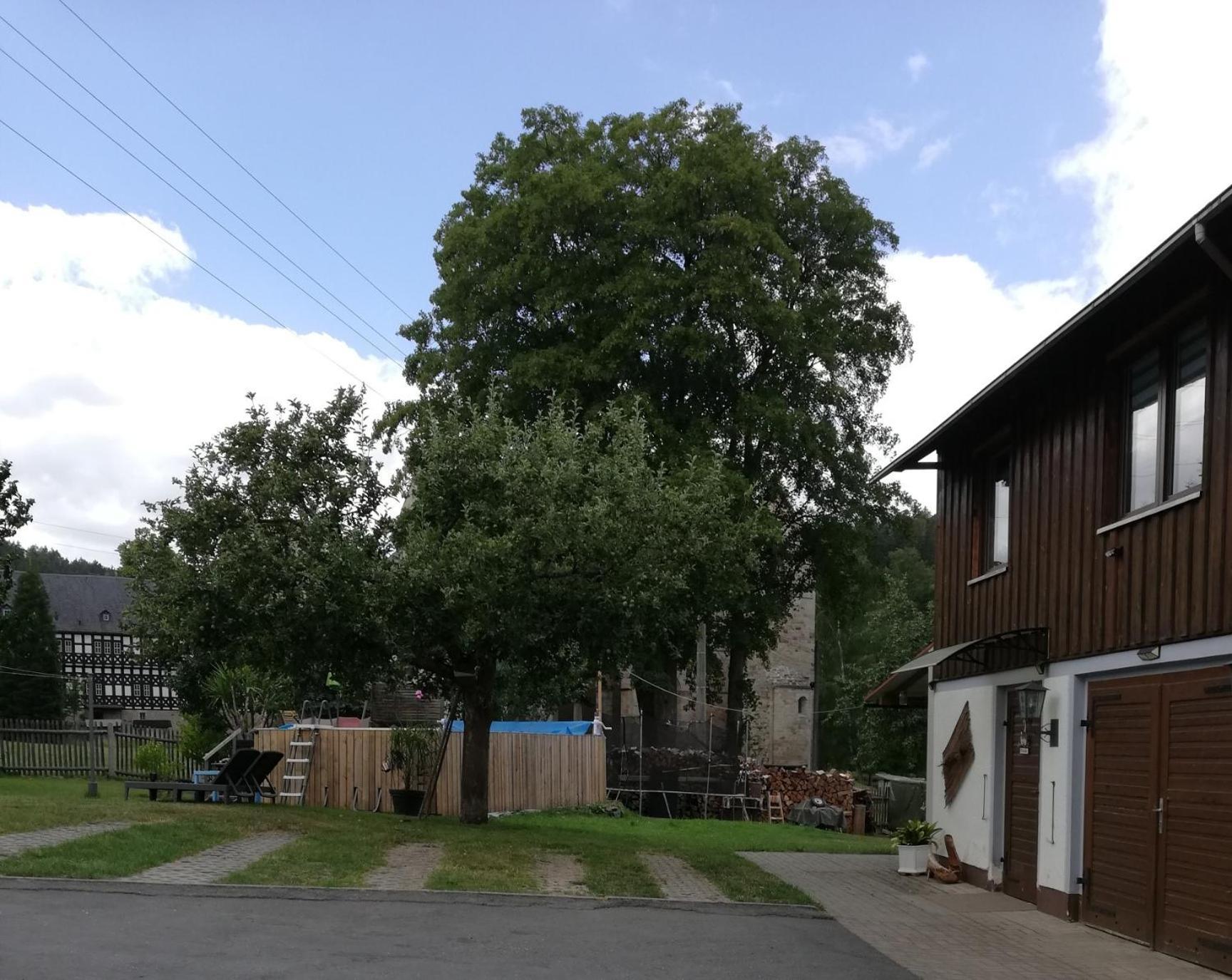 Fewo An Der Klosterruine Paulinzella Mit Kostenfreien Parkplatz Und Wlan Экстерьер фото