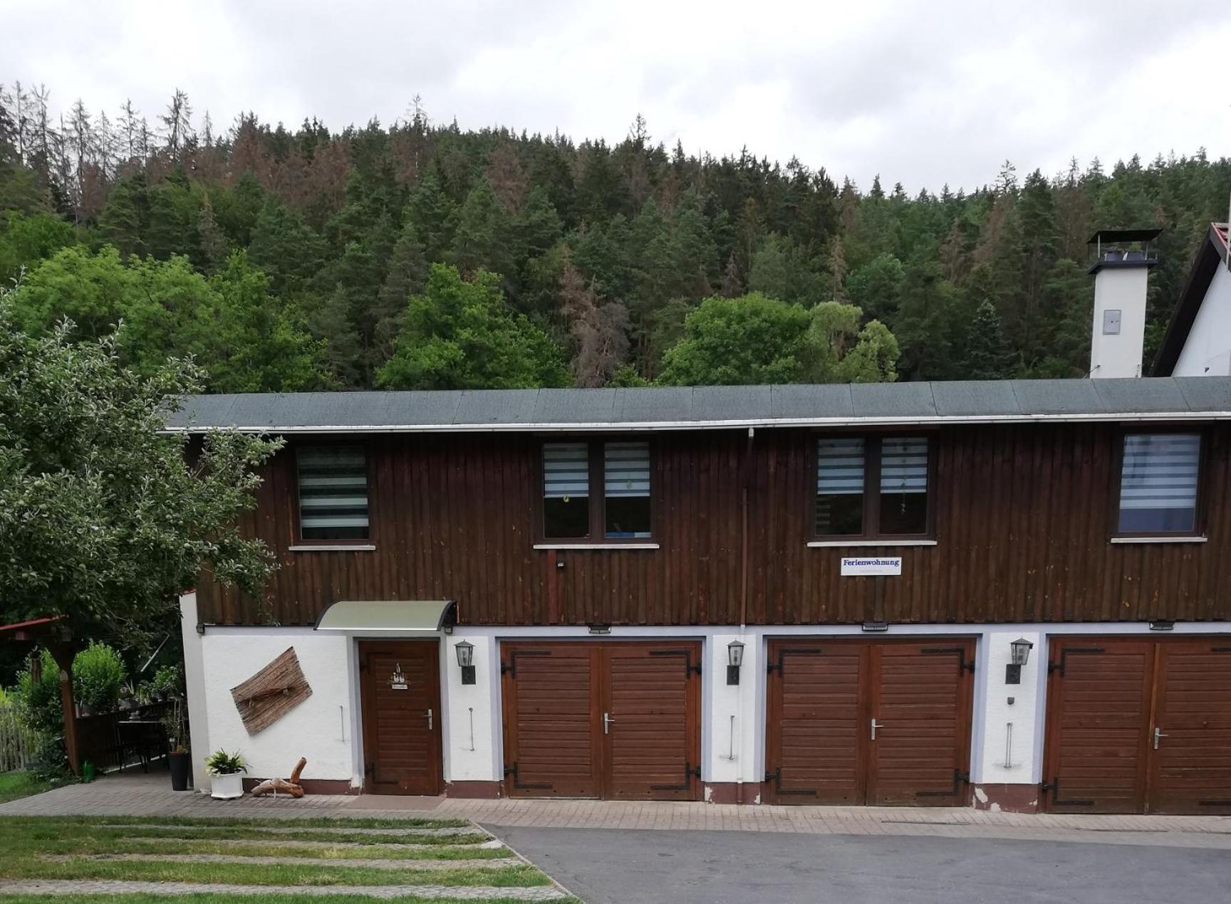 Fewo An Der Klosterruine Paulinzella Mit Kostenfreien Parkplatz Und Wlan Экстерьер фото